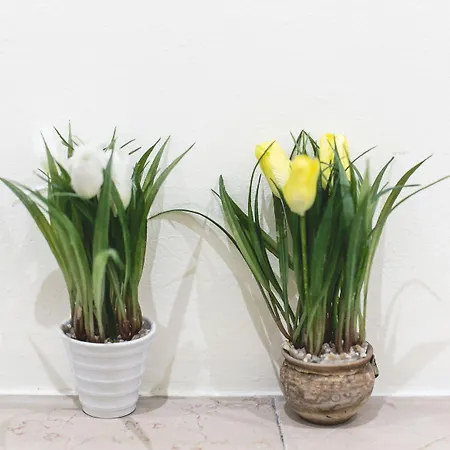 Il Quadrifoglio Room& Couette-café 4*